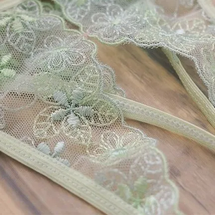 レース刺繡穴あきエロ下着セクシーランジェリーTバック・タンガ