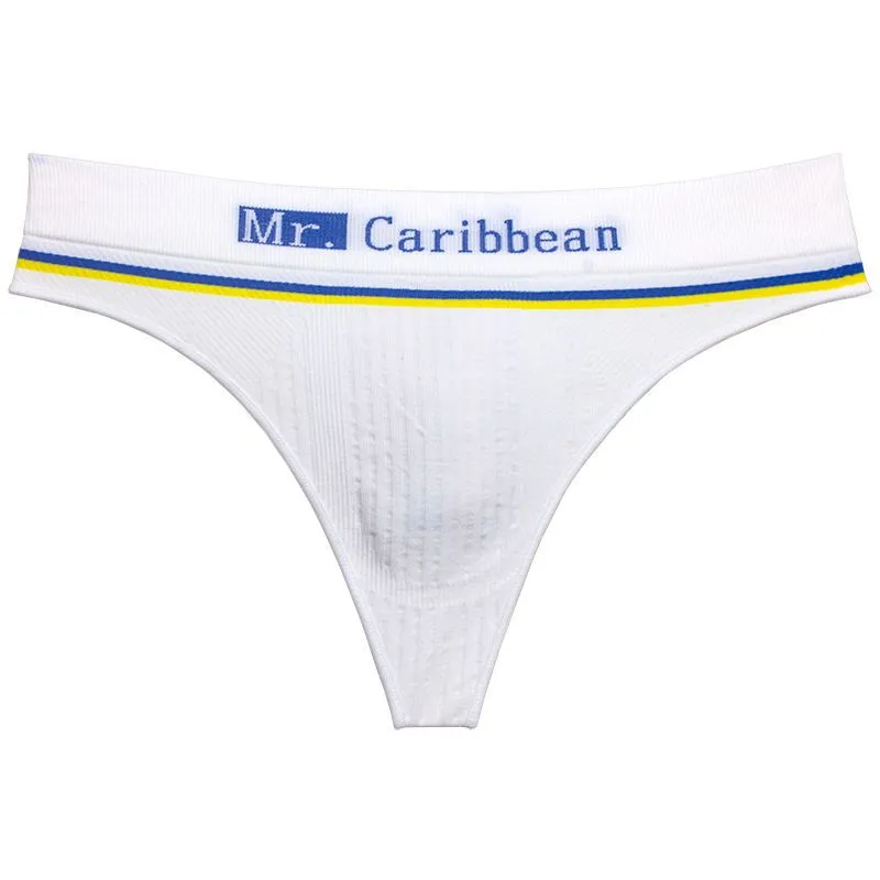 着心地良い 綿 シンプル 切り替え 配色 アルファベット セクシー Tバック メンズ