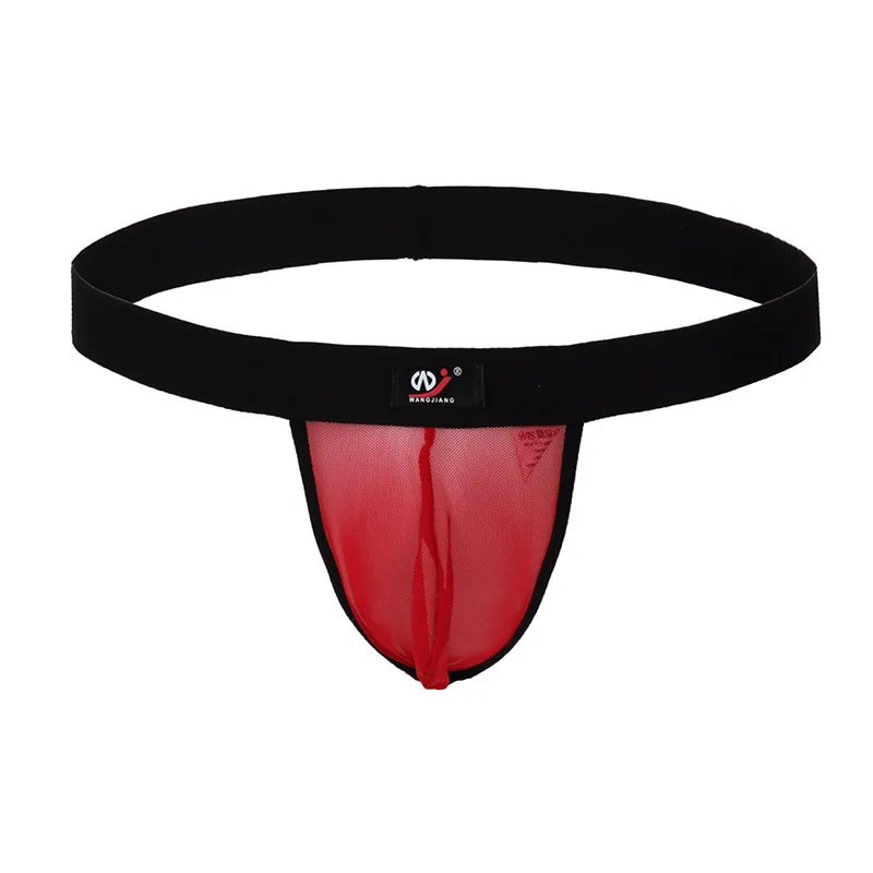 オシャレ欧米風 メッシュ 透視 スケスケ 5色展開 セクシー Tバック メンズ