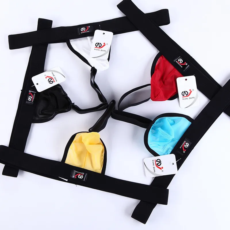 オシャレ欧米風 メッシュ 透視 スケスケ 5色展開 セクシー Tバック メンズ