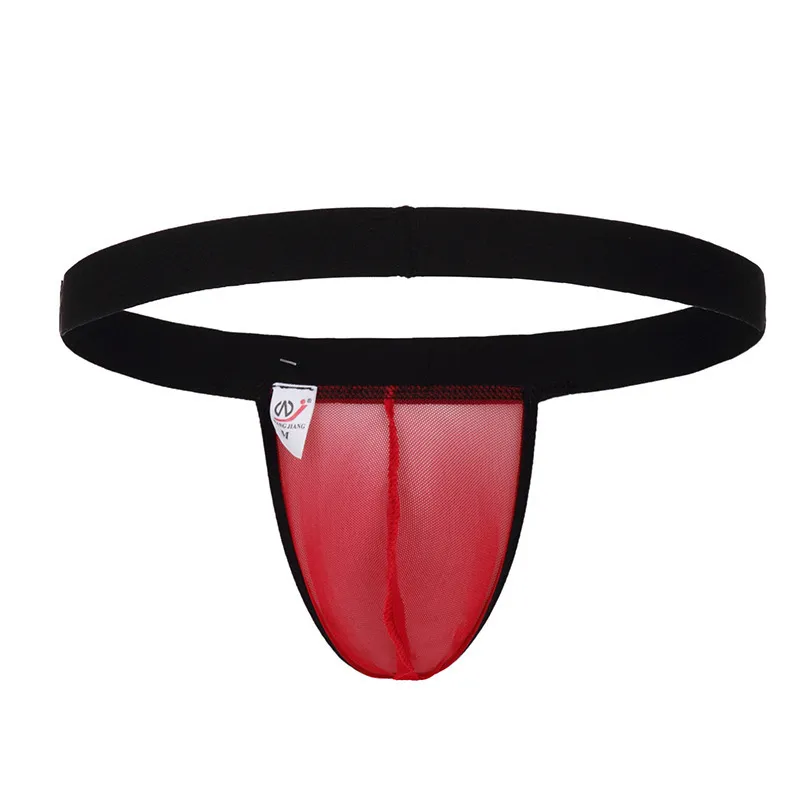 オシャレ欧米風 メッシュ 透視 スケスケ 5色展開 セクシー Tバック メンズ