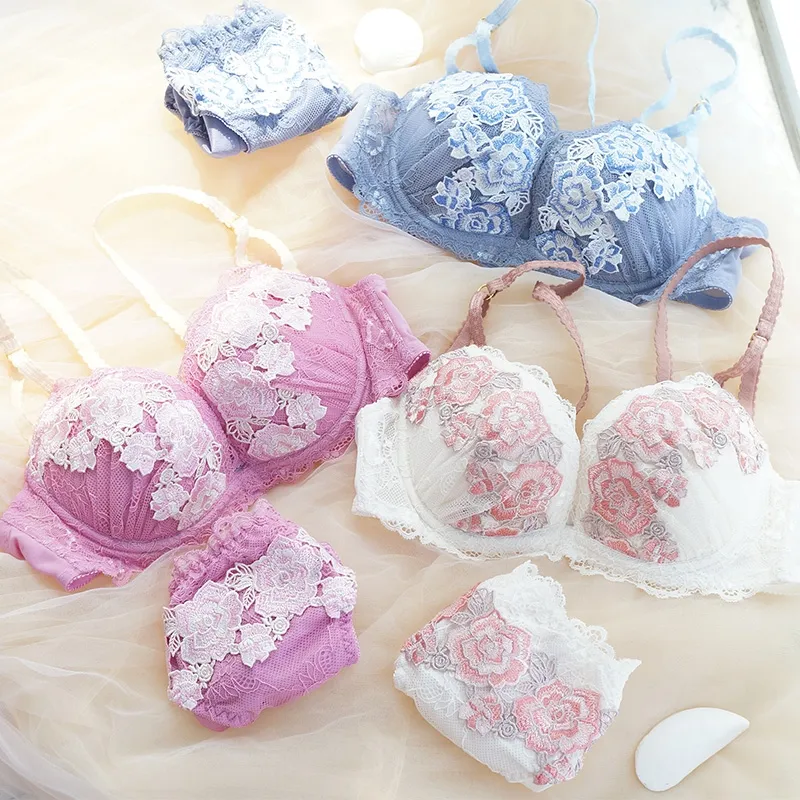 【ショーツ2点】A-Gカップ サイズ展開 スウィート 刺繡 レース ワイヤー入り 後ろホック 脇スッキリ ブラ・ショーツセット