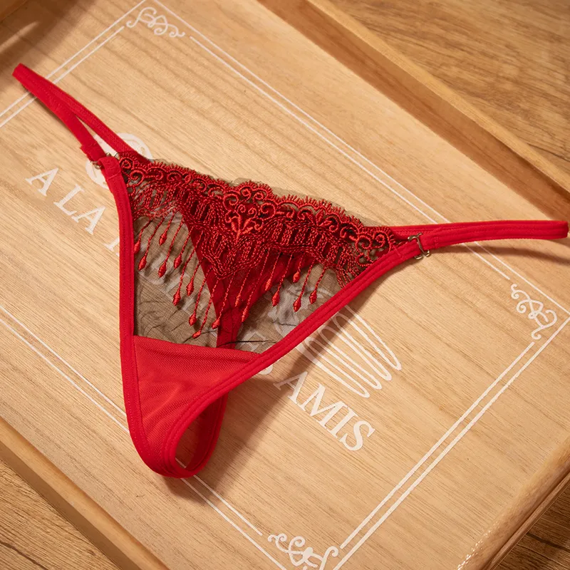 全6色 透視感 メッシュ レース 刺繡 薄い セクシー Ｔバック・タンガ