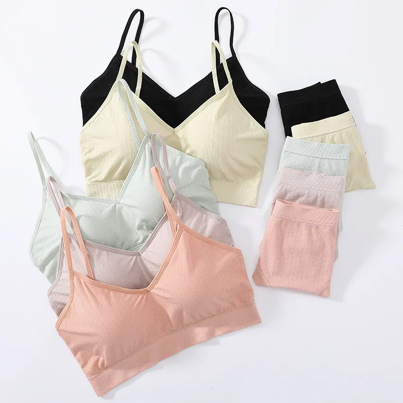 定番 5色展開 スポーツ ナイト用 育乳 美胸 ノンワイヤー ストレスフリー ブラ・ショーツセット