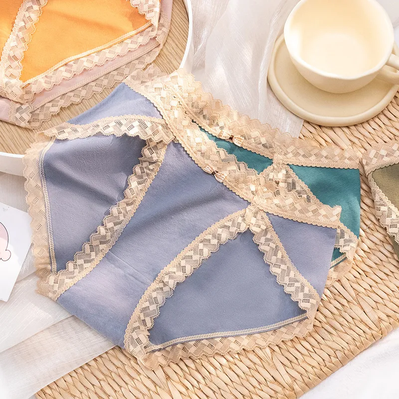 清新 人気新作 レース 高通気性 切り替え 配色 コットン スタンダードショーツ