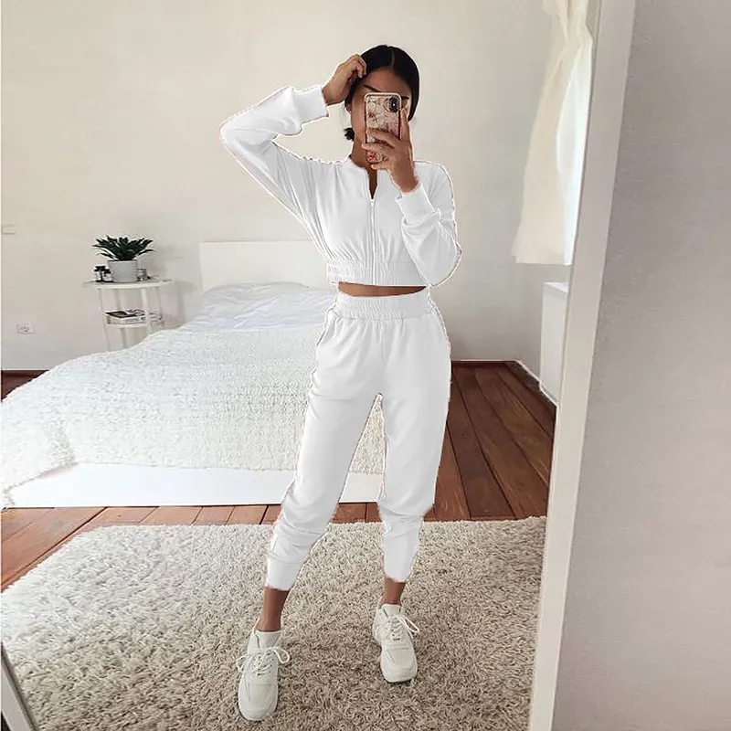 新作 ジッパー スタンドネック 動きやすい ジョギング スポーツセット