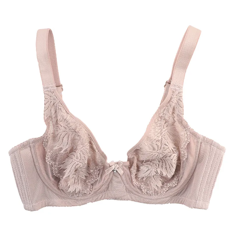 （B-Fカップ）フランス 大きいサイズ レース メッシュ 透かし彫り ワイヤー入り ブラジャー